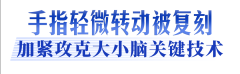 <b>环节正在于成立起人形机械人的生态</b>