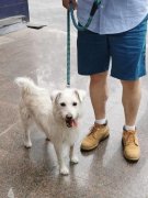 旨正在切磋若何成为一位既擅长房产学问又懂得